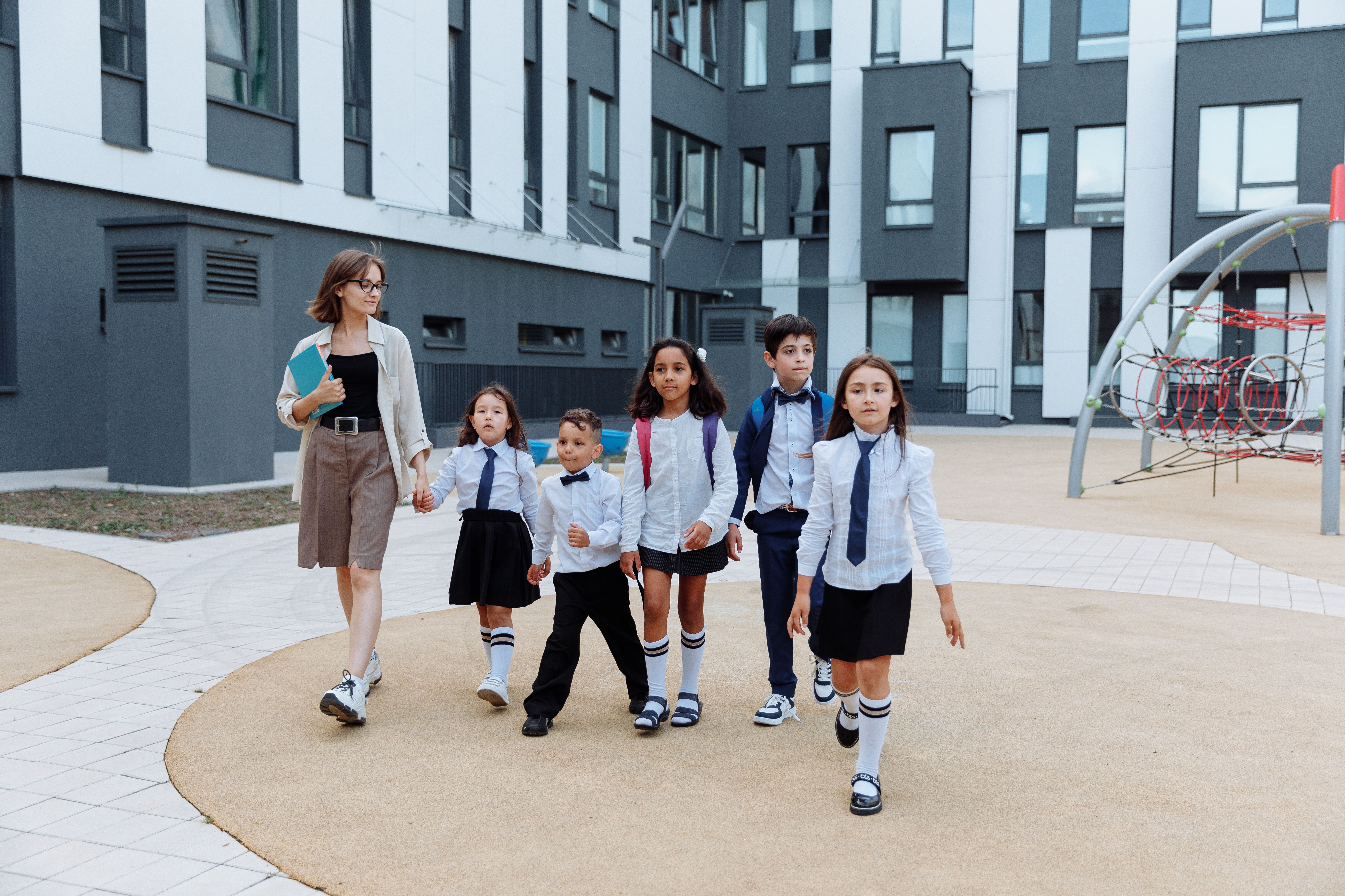 New Zealand admissions visual