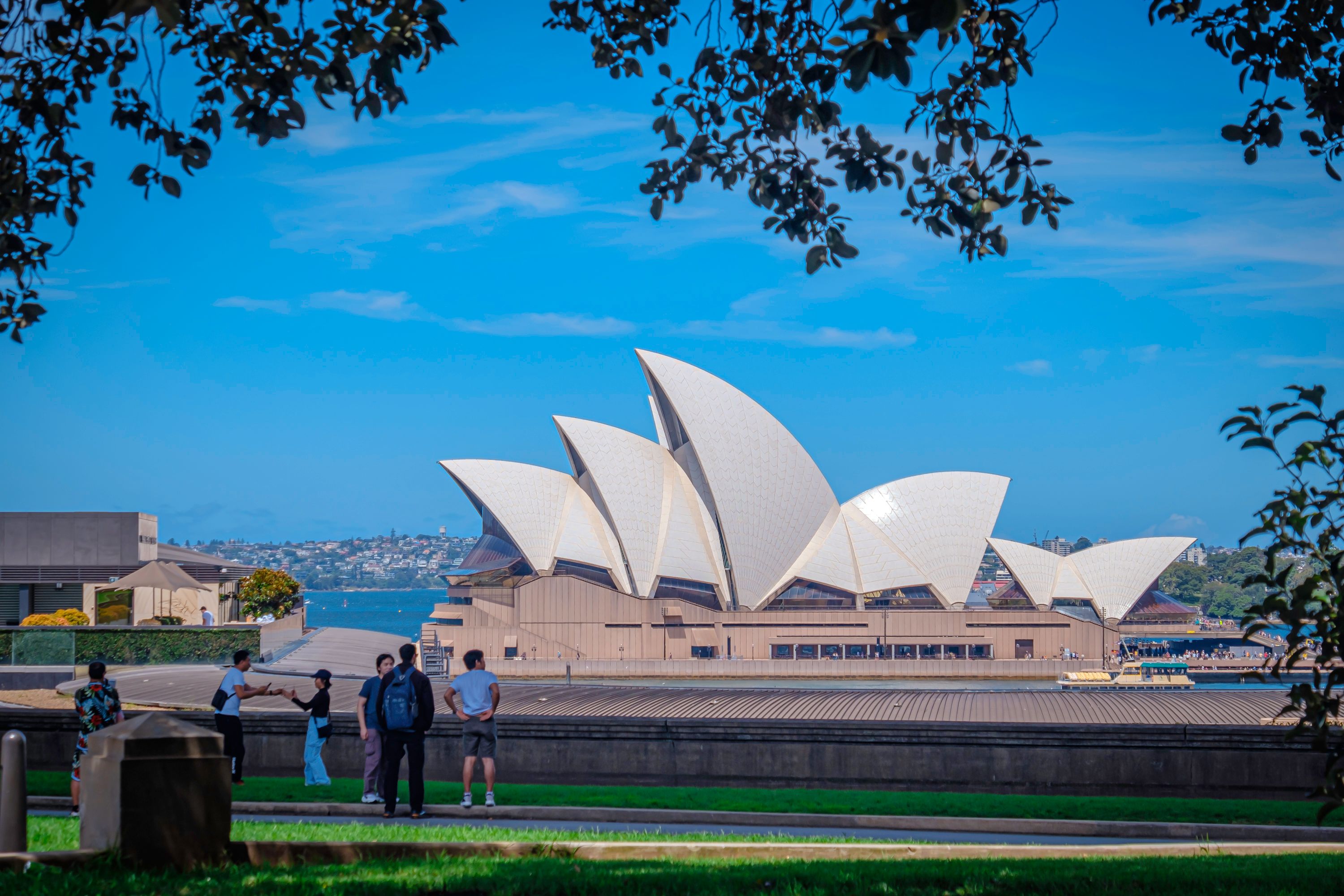 Australia admissions visual